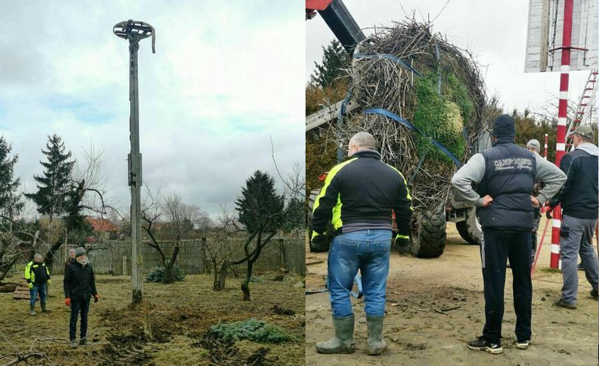 Dom olszańskich bocianów jest już bezpieczny [FOTO] 