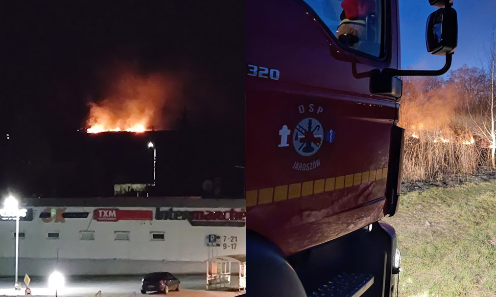 Pożar w Strzegomiu i Rusku. Strażacy apelują, aby nie wypalać traw [FOTO] 