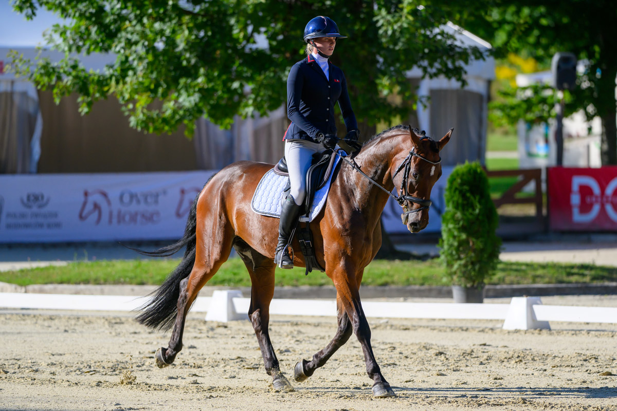 Trwają Mistrzostwa Polski Młodych Koni w Morawie [FOTO] 