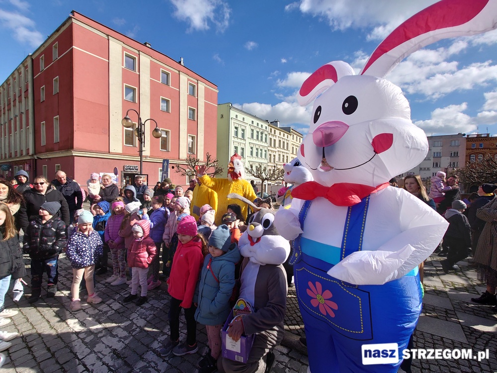 W niedzielę wielkanocny mobilny zając  wyruszy na ulice Strzegomia 