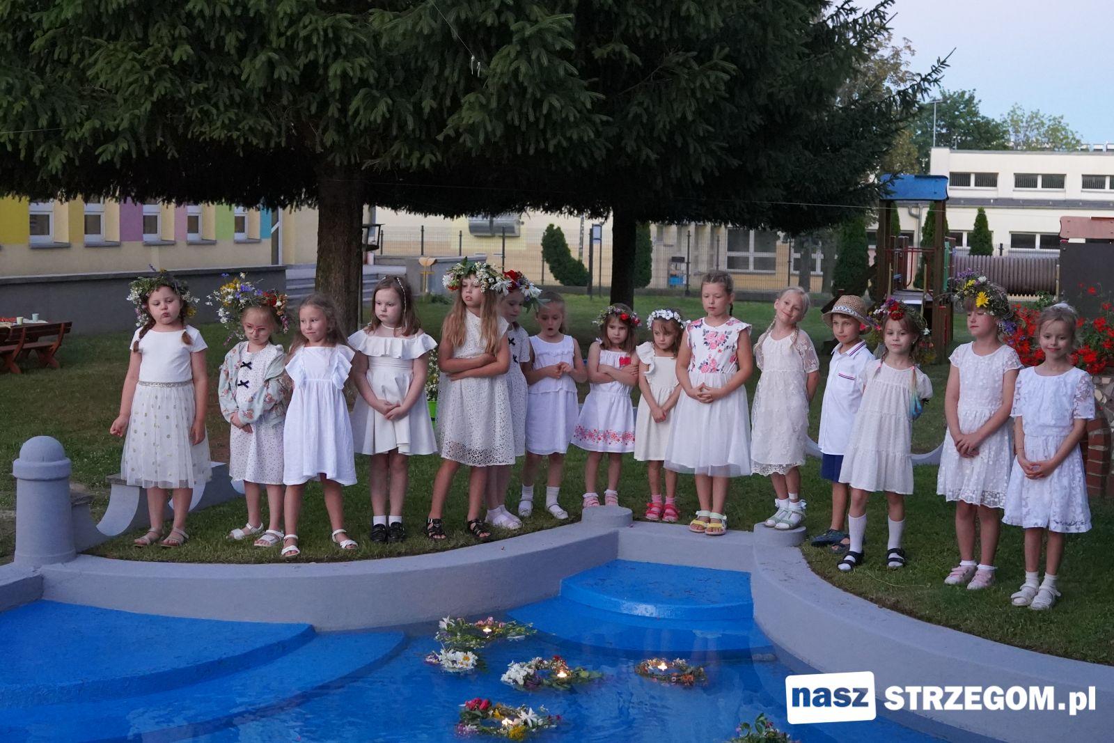 Świętojańskie tradycje w strzegomskim „Misiu Uszatku” [FOTO] 