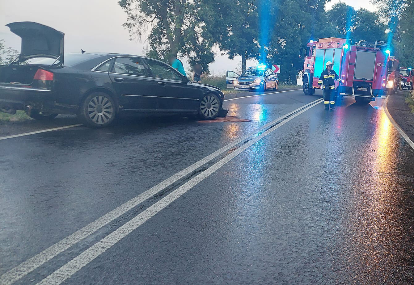 Auto wypadło z drogi w okolicach Rogoźnicy [FOTO] 