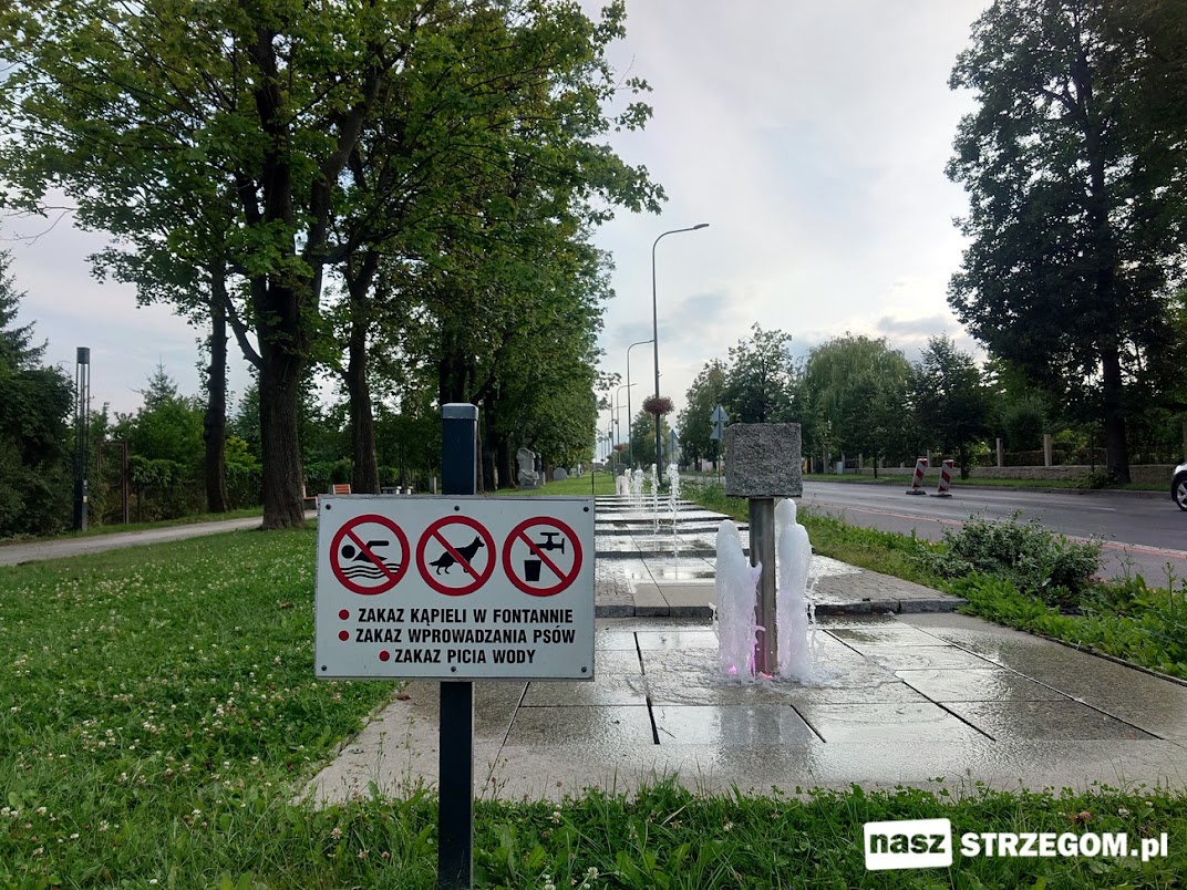 Państwowa Inspekcja Sanitarna ostrzega przed kąpielami w miejskich fontannach [FOTO] 