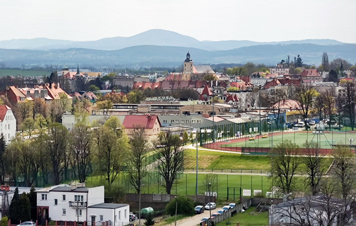 Rozpoczęły się konsultacje programu współpracy gminy Strzegom z organizacjami pozarządowymi.  