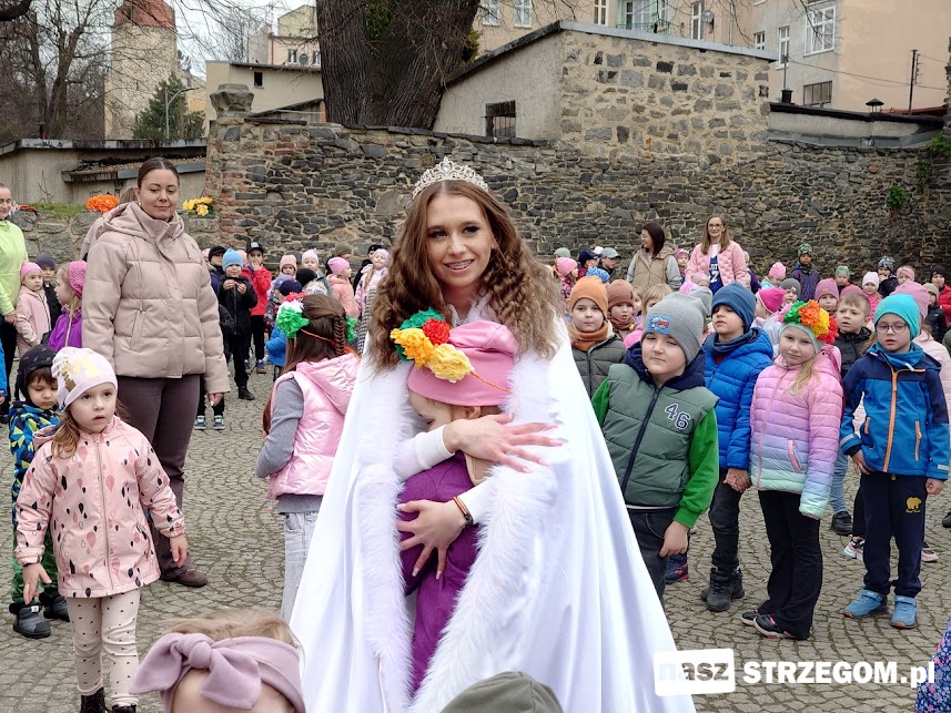 Wiosenna parada w Strzegomiu. Dzieci rozgrzały miasto swoją energią [FOTO] 