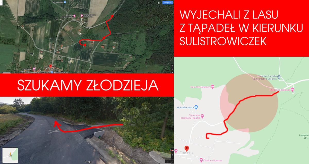 Ukradli dobytek firmy. Czy ktoś widział złodzieja? 