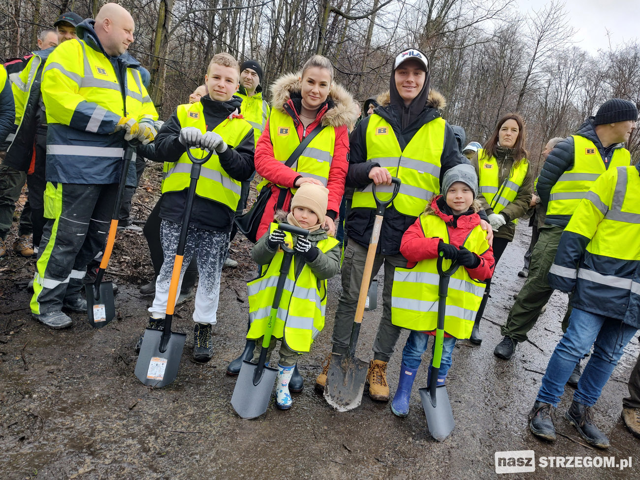 Posadzili setki młodych dębów między Wieśnicą a Rogoźnicą [FOTO] 
