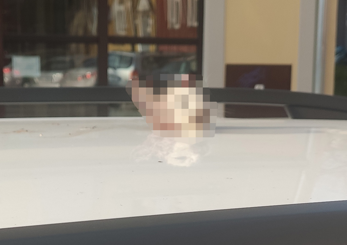 Kocia głowa na dachu auta przy ul. Kościelnej 