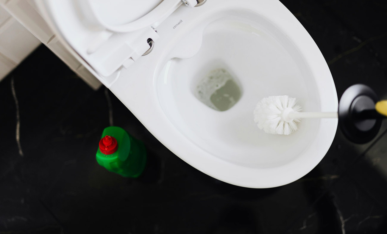 Sedes to nie śmietnik!  