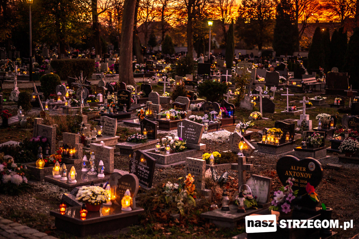 Światło pamięci w Strzegomiu. Cmentarz przy ulicy Olszowej w blasku tysięcy zniczy [FOTO] 