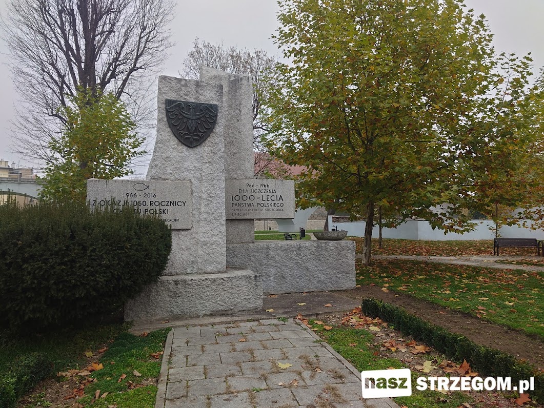 Strzegom dołączy do akcji Pola Nadziei, aby promować ideę niesienia pomocy chorym onkologicznie  