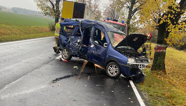Auto uderzyło w drzewo [FOTO] 