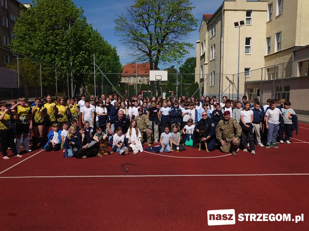 Strzegomska „czwórka” stawia na bezpieczeństwo – wyjątkowe zajęcia z policją i żołnierzami [FOTO] 