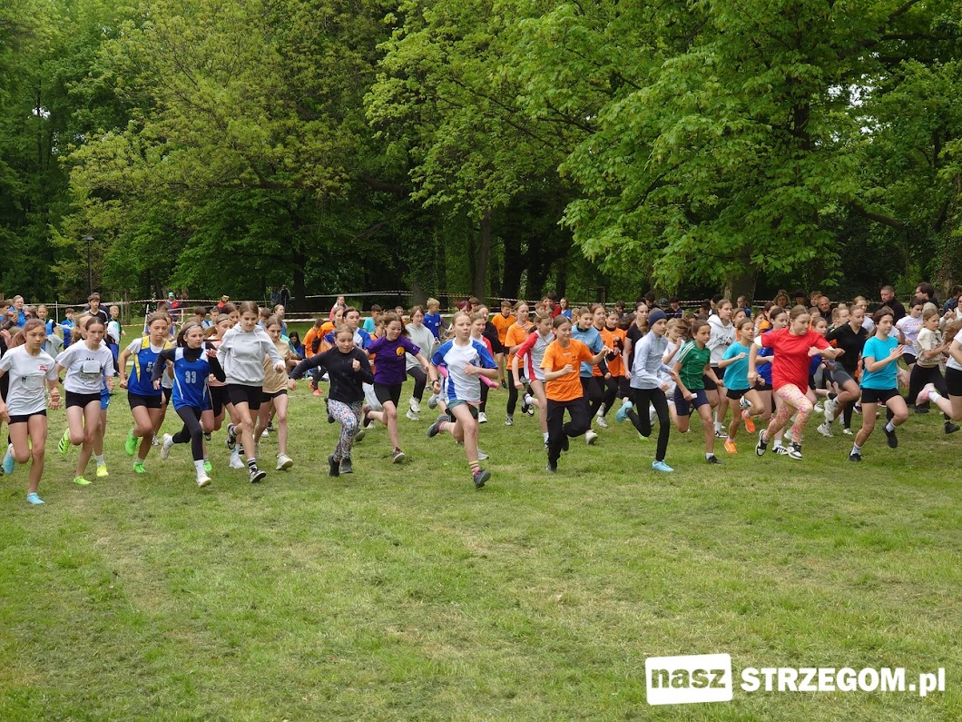 37. Bieg Pamięci w Rogoźnicy w cieniu historii Gross-Rosen [FOTO] 