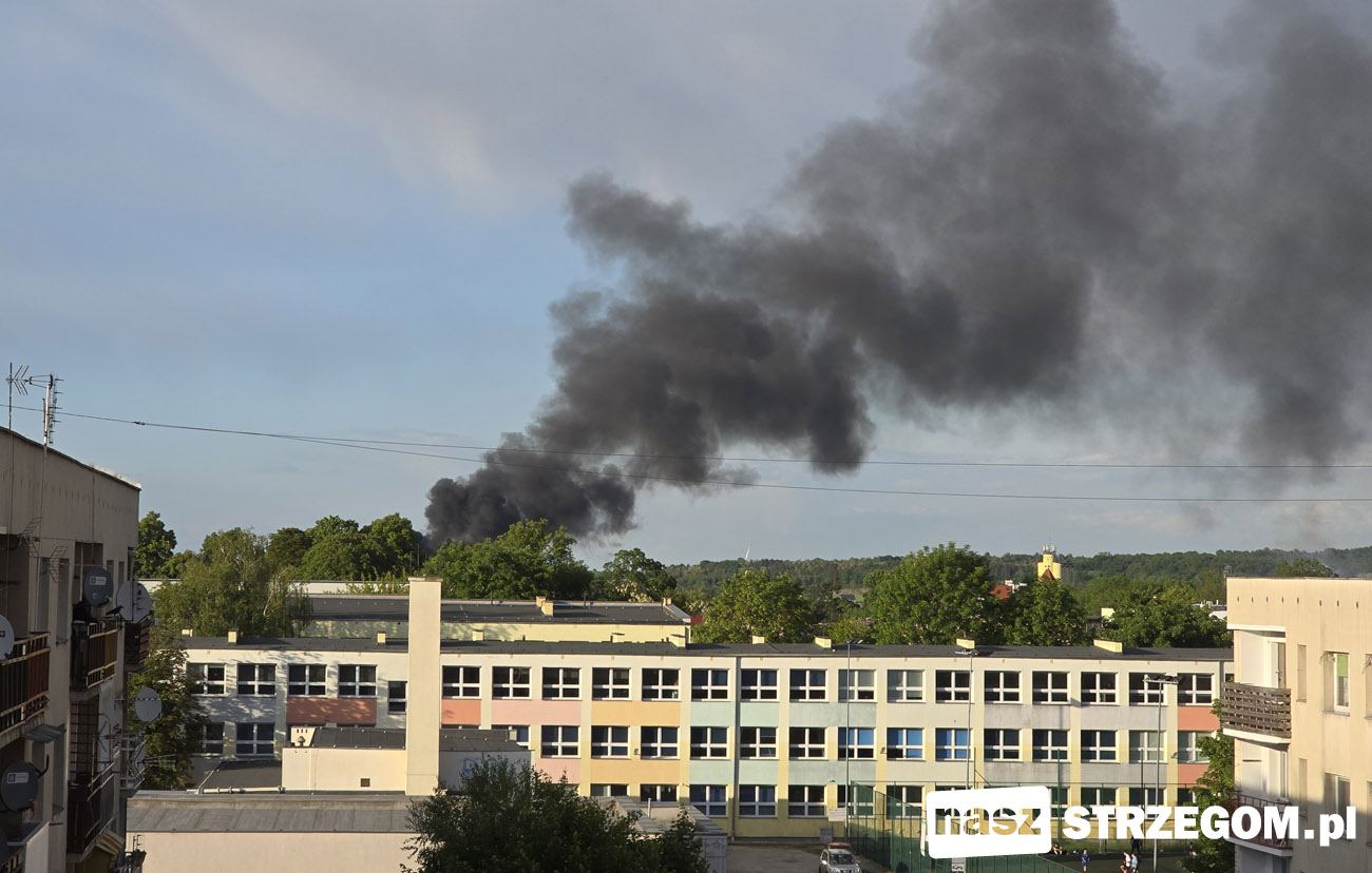 Pożar na terenie zakładu przy Alei Wojska Polskiego w Strzegomiu [FOTO] 