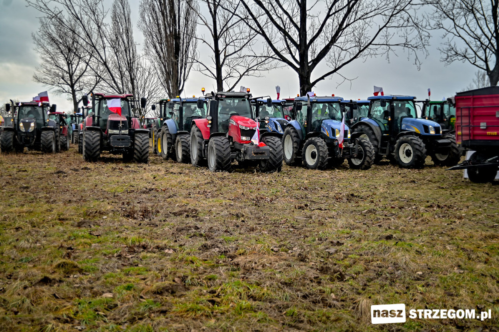 Rolnicy z gminy Strzegom przyłączają się do protestu przeciwko umowie z Mercosur [FOTO] 