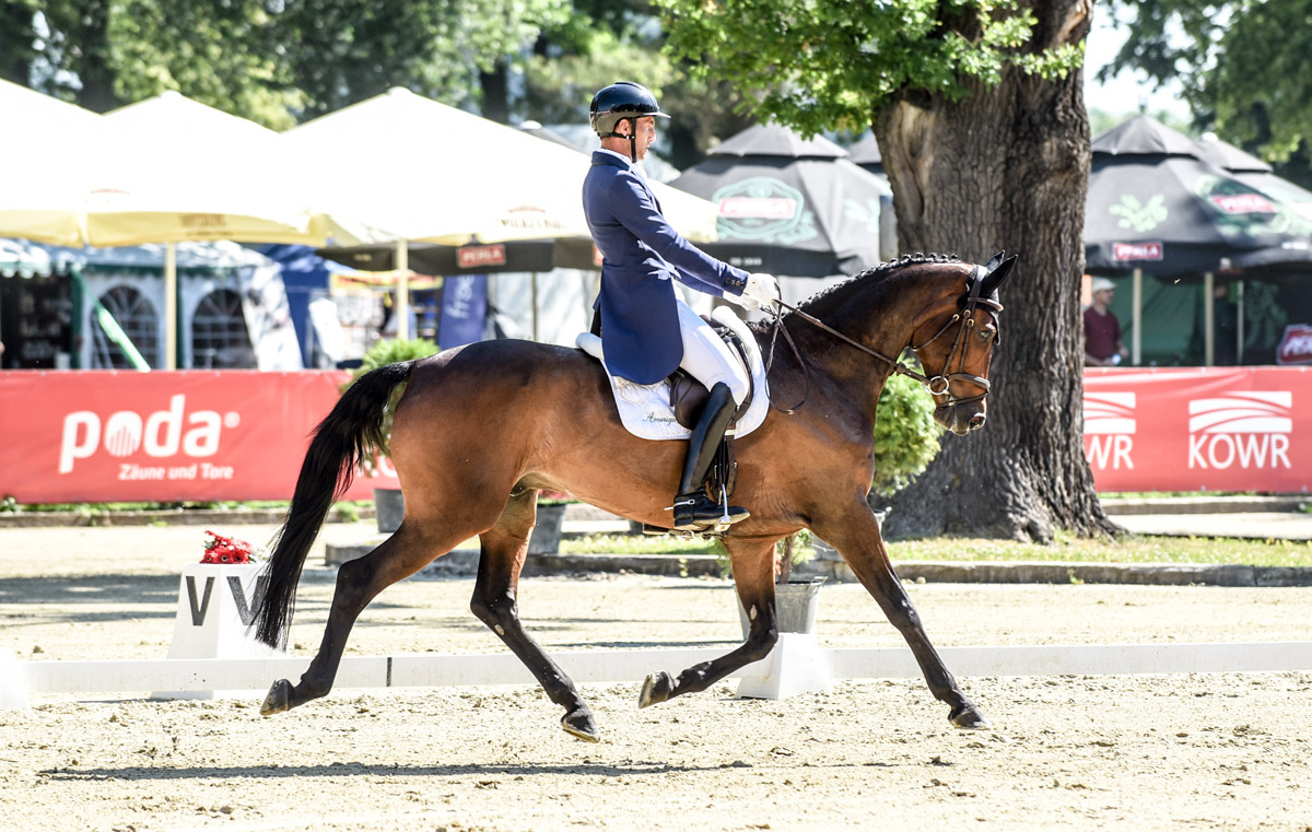 Dirk Schrade liderem ujeżdżenia w Morawie 