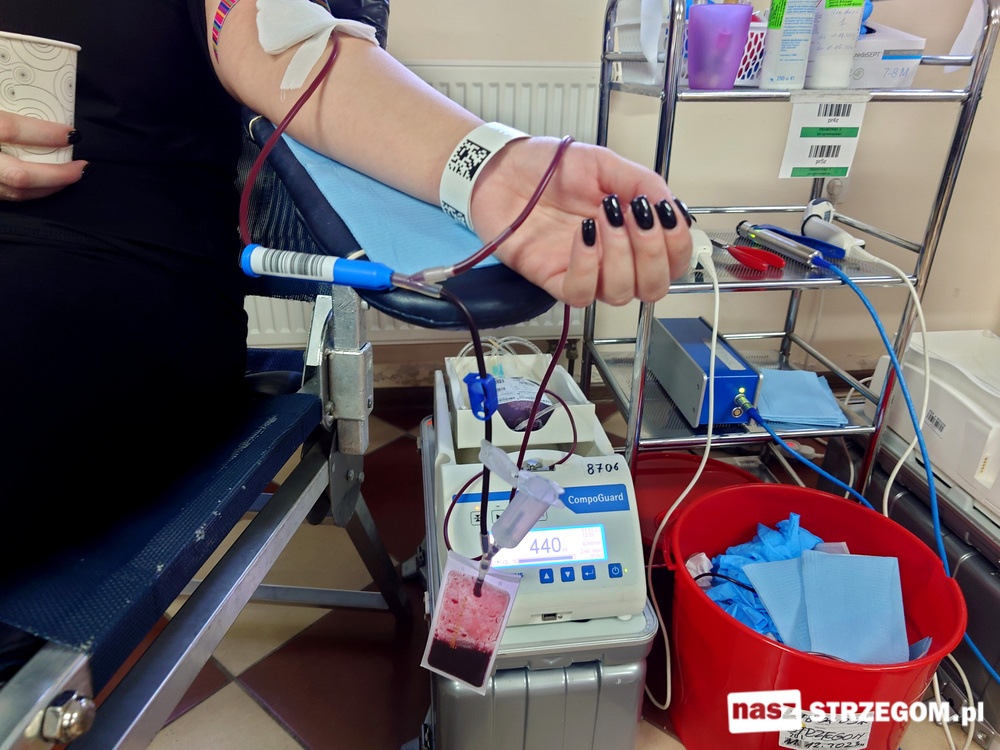 Strzegomskie zbiórki krwi – harmonogram na 2024 rok.  