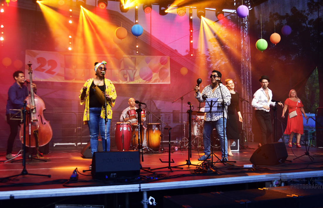 XXII Festyn Rodzinny w Strzegomiu [FOTO] 