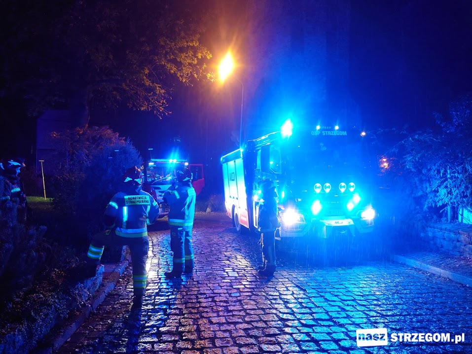 Interwencja strażaków na ul. Kamiennej w Strzegomiu 