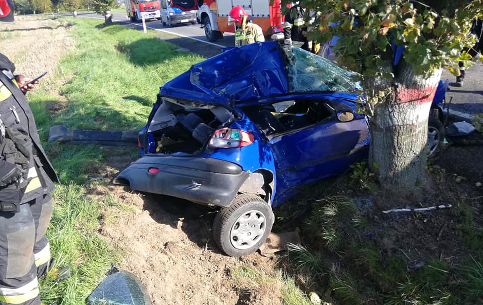 24-latek uderzył w drzewo! [FOTO] 