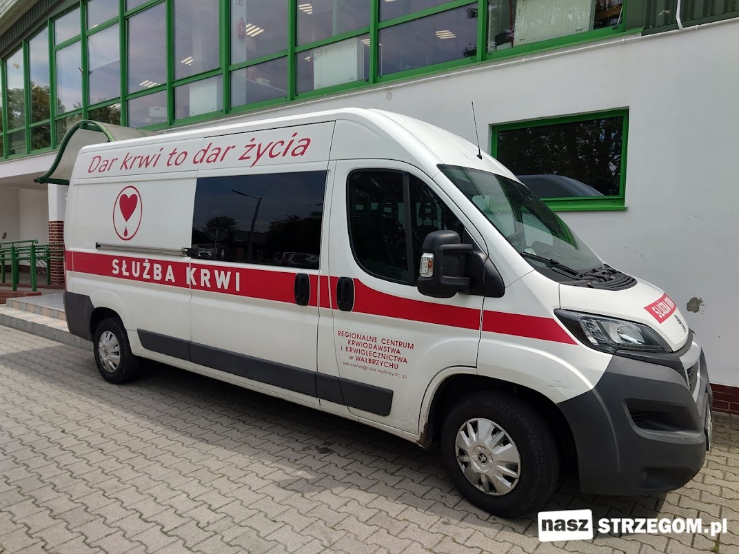 Strzegomscy dawcy krwi oddali około 54 litrów bezcennego leku w 2024 roku. 