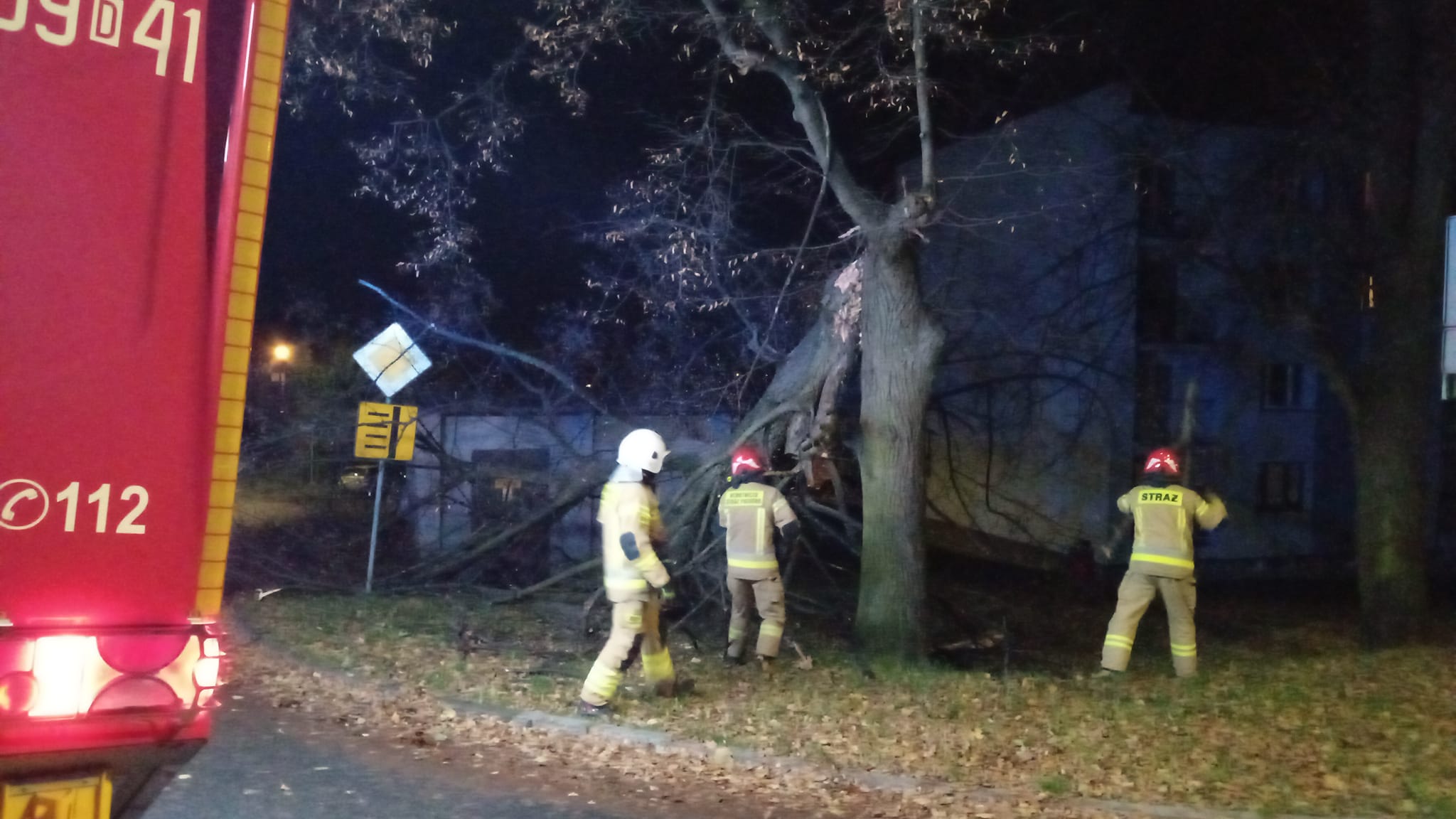 Silny wiatr przyczyną interwencji strażaków w Strzegomiu i Bagieńcu [FOTO] 