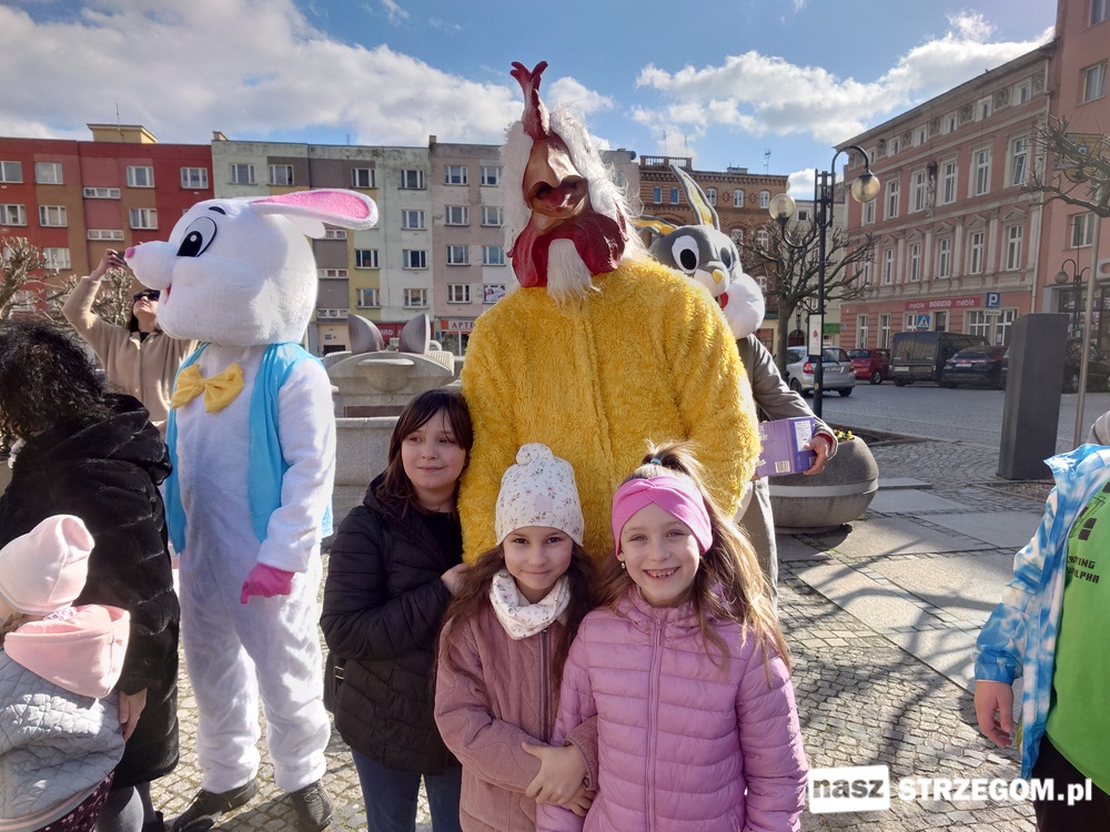 Wielkanocny zając z ekipą pojawił się na ulicach Strzegomia [FOTO] 