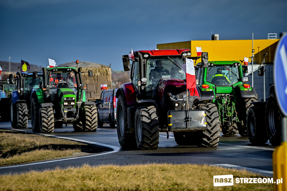 Rolnicy protestowali na drodze Strzegom-Dobromierz w ramach ogólnopolskiego strajku [FOTO] 