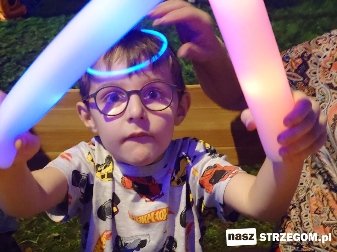 Festyn „Światło i Dźwięk” ponownie przyciągnął tłumy na Strzegomskie Planty [FOTO] 