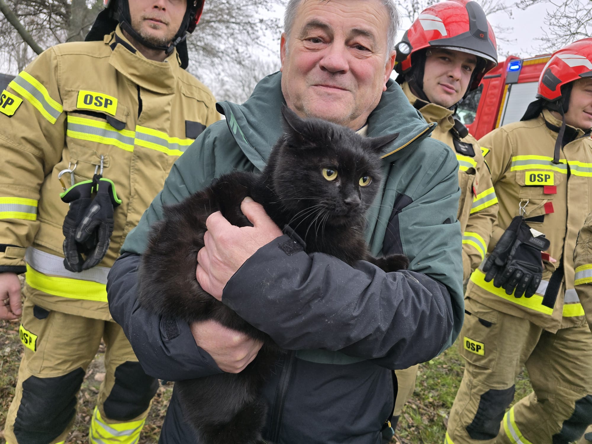 Micia uciekła na drzewo. Niezbędna była pomoc strażaków [FOTO] 